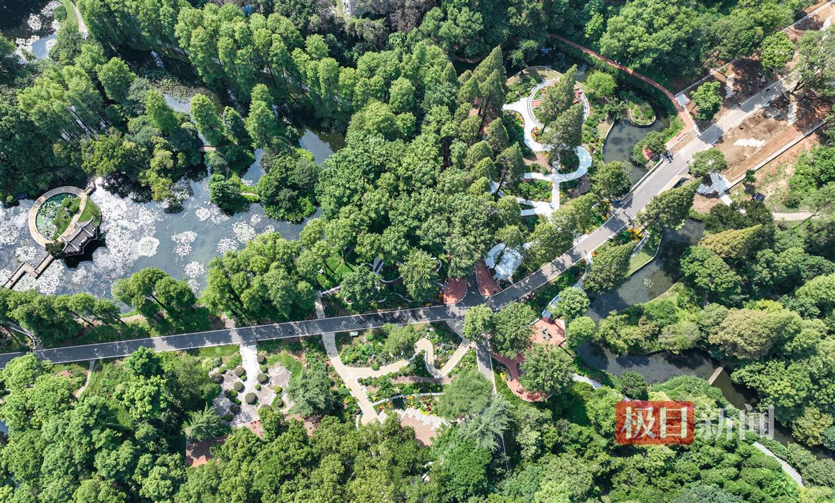 果博手机app官方
